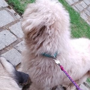 Meet your Posher, Suguna. s